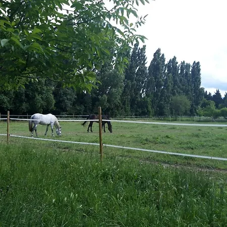 Apartment Mas Des M *