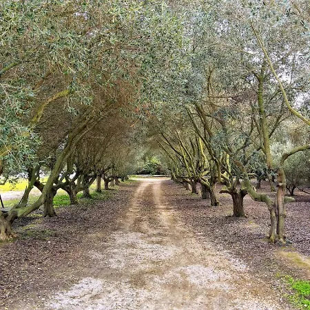 Apartment Mas Des M *